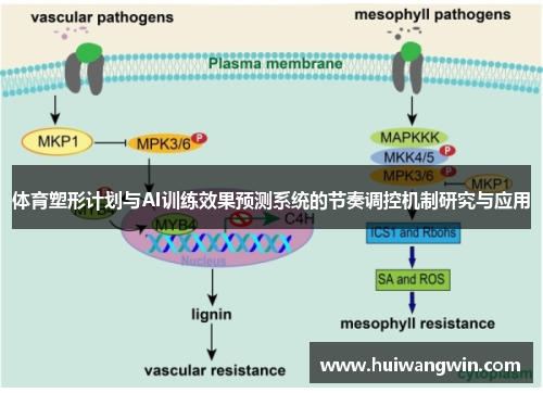 体育塑形计划与AI训练效果预测系统的节奏调控机制研究与应用